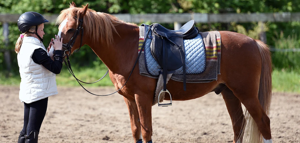 Outdoor Sporting Goods 9 Outdoor Sporting Goods -Outdoor Sporting Goods 1