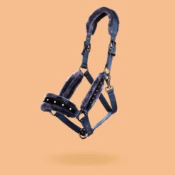 Horse Riding Halter And Leadrope Set For Horse And Pony 13 Horse Riding Halter And Leadrope Set For Horse And Pony -Outdoor Sporting Goods k03e132dd9fc11d3322603d1d6b970231