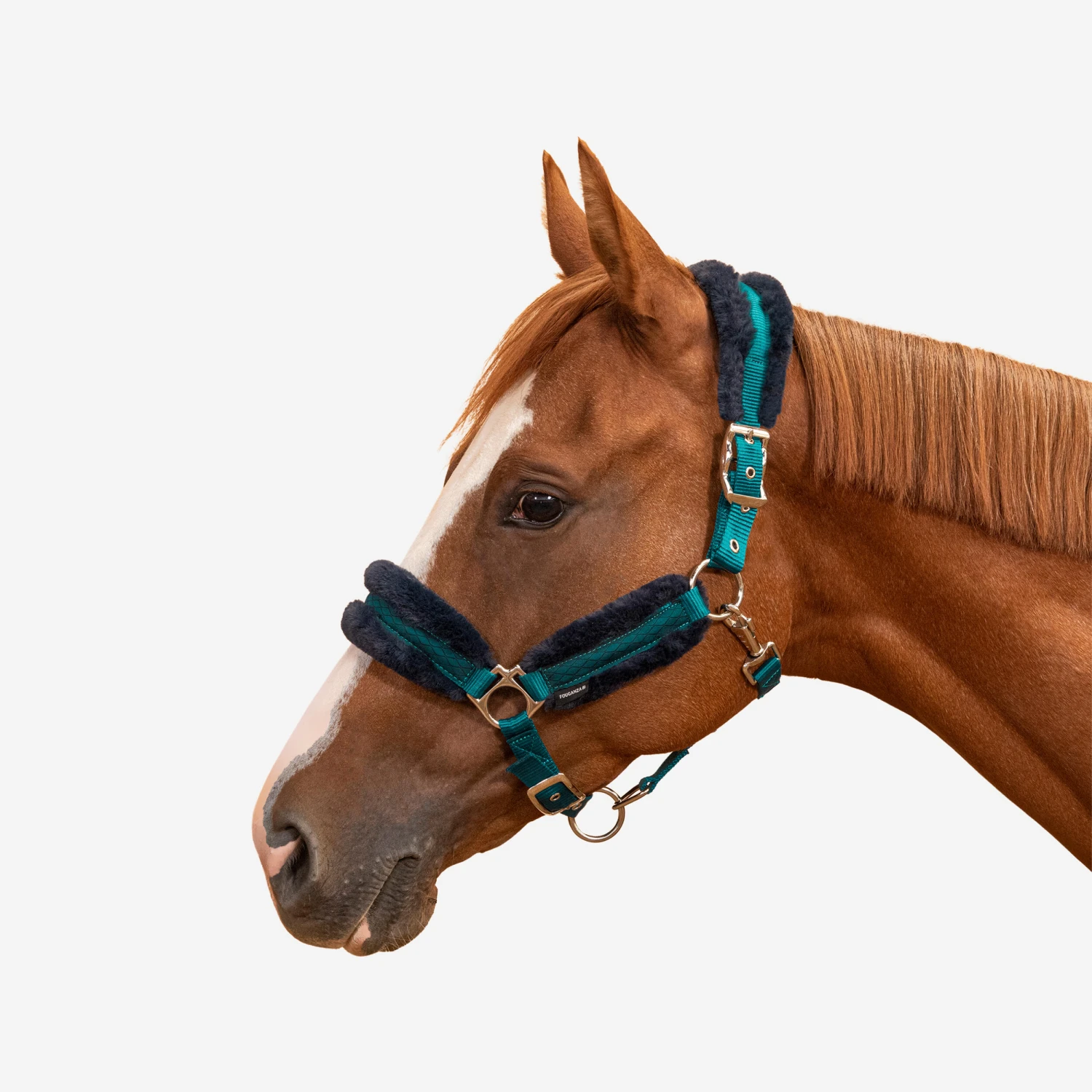 Horse Halter Comfort 7 Horse Halter Comfort - Image 5