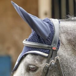 EASTWOOD CRANK BRIDLE INCLUDING REINS -Outdoor Sporting Goods k116ae041103f34ce6c8946449ceeab0b