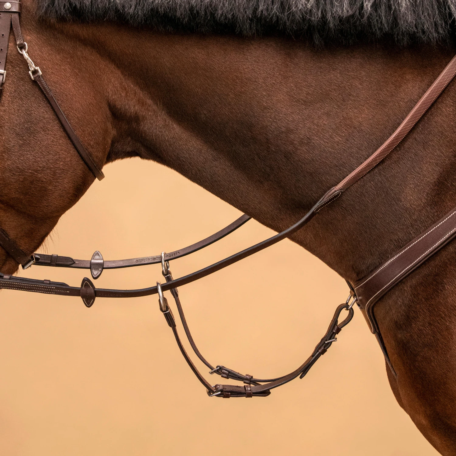 5-Point Hunting Martingale For Horse & Pony 10 5-Point Hunting Martingale For Horse & Pony - Image 8