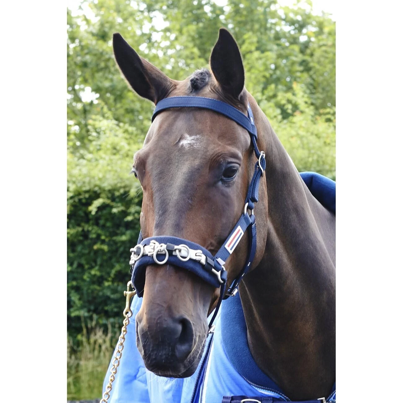 JOHN WHITAKER LUNGE CAVESSON 4 JOHN WHITAKER LUNGE CAVESSON - Image 2