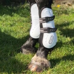 Bingley Tendon And Fetlock Boots -Outdoor Sporting Goods k1a0f319ddc46d34ebc92ab18e4d7f5a8