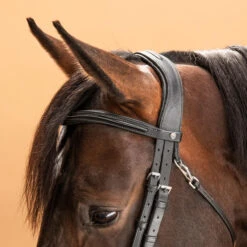 Horse & Pony Leather Bridle With French Noseband 580 -Outdoor Sporting Goods k1b6ed42082c2cd1f4bf1bbcc8c25f11e