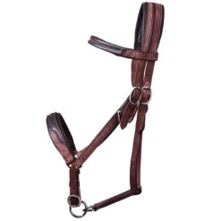 Trail Horse Riding Bridle / Halter And Reins Escape - Brown 36 Trail Horse Riding Bridle / Halter And Reins Escape - Brown -Outdoor Sporting Goods k1bd2030751ce6bdf72631e3980c0e649