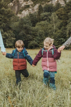 Quechua Kids’ Hiking Padded Jacket - Aged 2-6 27 Quechua Kids’ Hiking Padded Jacket - Aged 2-6 -Outdoor Sporting Goods k239c152ec34ea6463ce5dca48d4867fc