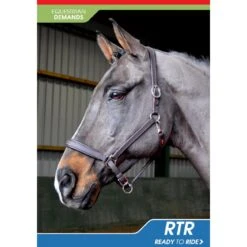 Ready To Ride Leather Headcollar -Outdoor Sporting Goods k23f6dd4bde5982fcf1f5167d3128bf03