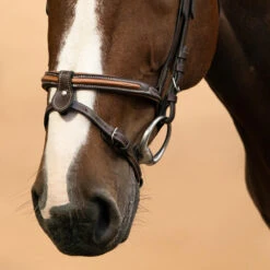 Horse & Pony Leather Bridle With French Noseband 580 -Outdoor Sporting Goods k241677c16f449a6be1707bcb07929f2c