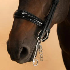 Horse & Pony Dressage Double Bridle 900 19 Horse & Pony Dressage Double Bridle 900 -Outdoor Sporting Goods k27e605c041f895fdef5dbf662b45645c
