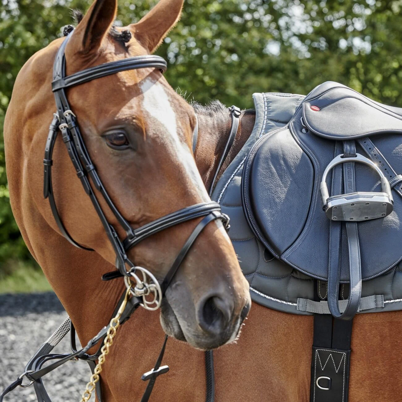 Barton Raised Flash Bridle Includes Rubber Reins 6 Barton Raised Flash Bridle Includes Rubber Reins - Image 4