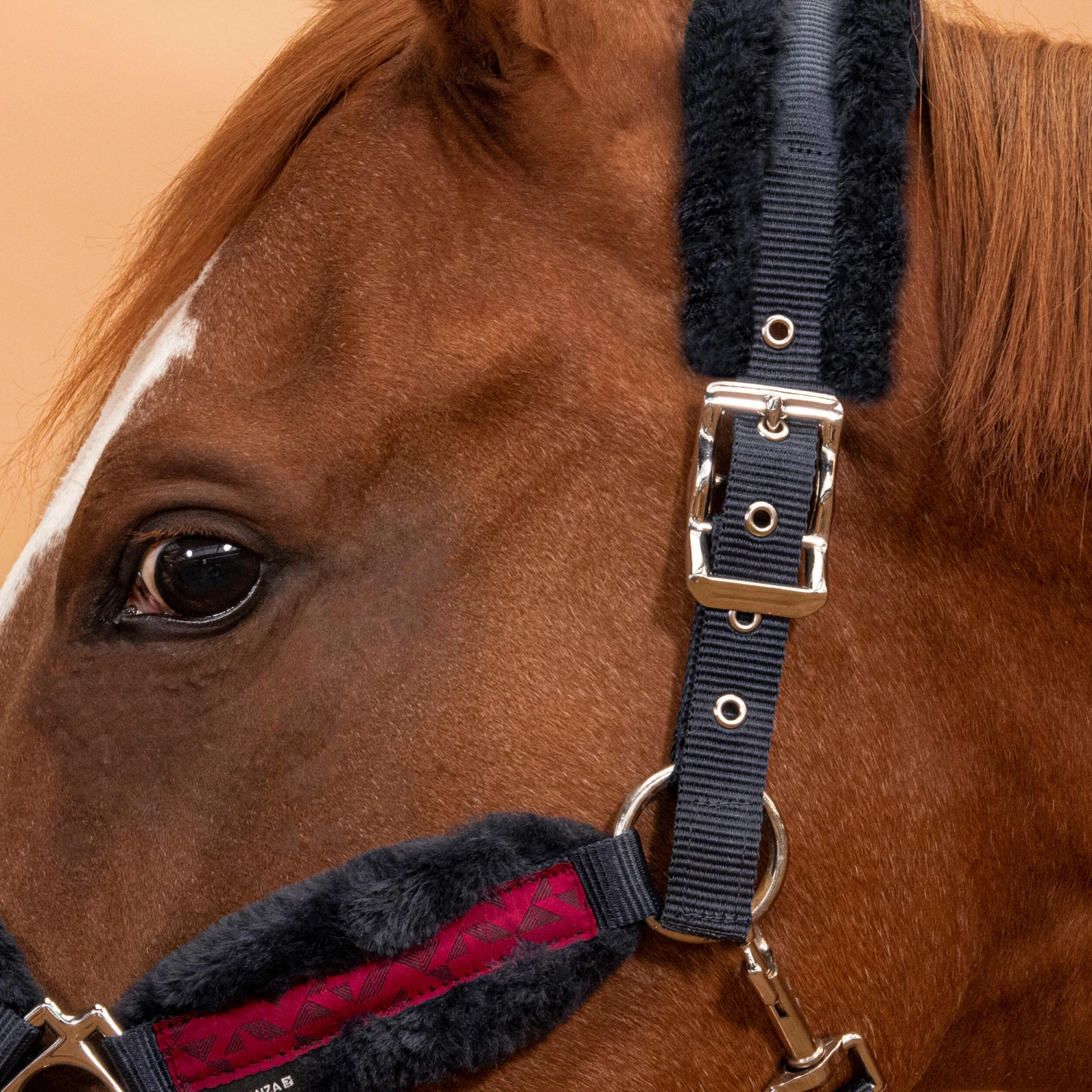 Horse Halter Comfort 13 Horse Halter Comfort - Image 11