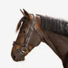 Horse & Pony Leather Bridle With French Noseband 580 -Outdoor Sporting Goods k2d93f4d7c0523516864edb213d05edf6