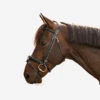 Horse Riding Glossy Leather Bridle With French Noseband For Horse & Pony 580 1 Horse Riding Glossy Leather Bridle With French Noseband For Horse & Pony 580 -Outdoor Sporting Goods k2f79b5606e2e53d49cf488a781850bbc