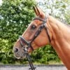 Lynton Flash Bridle With X2 Browbands 2 Lynton Flash Bridle With X2 Browbands -Outdoor Sporting Goods k313ef32a96036a40428f90568702ac41