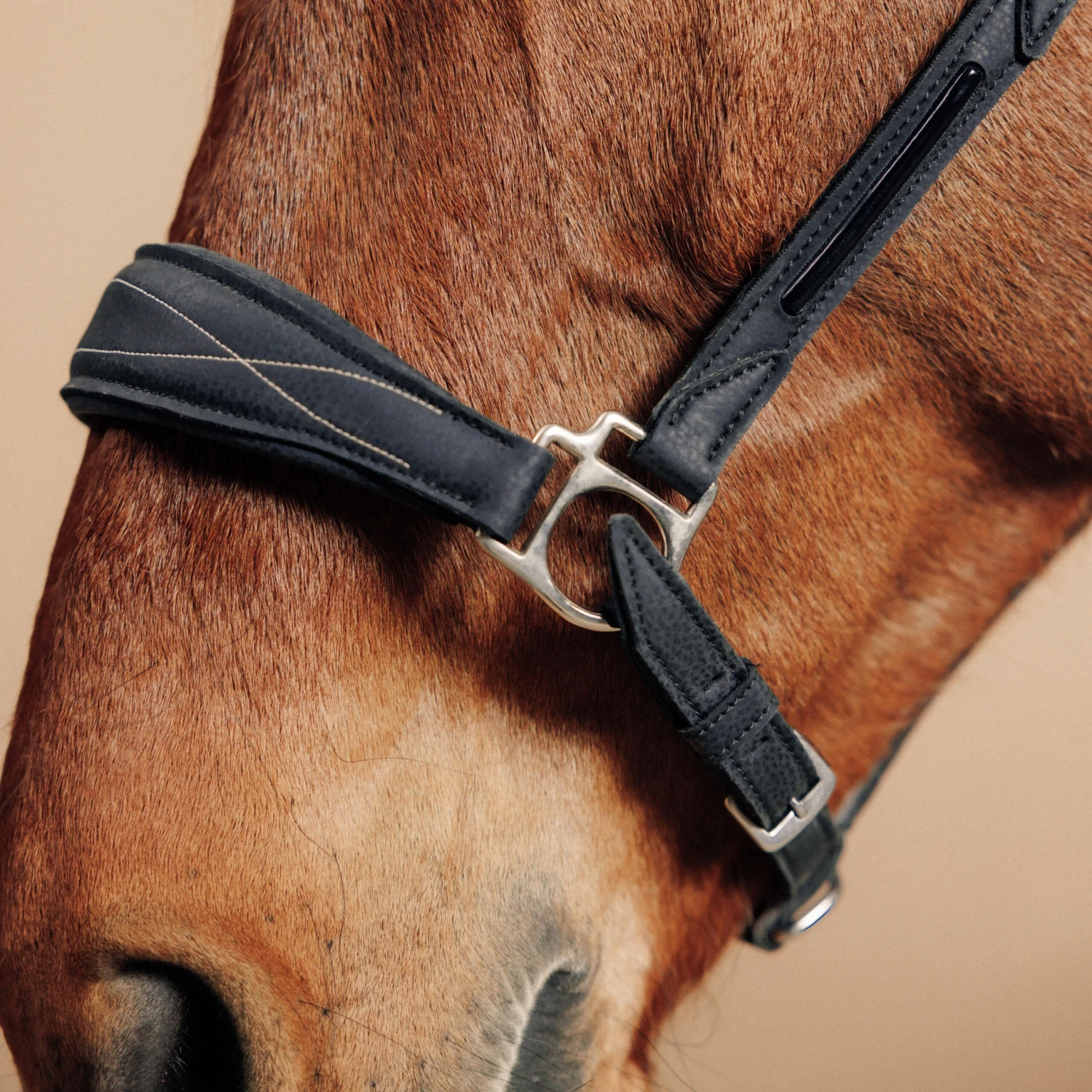 Horse Riding Synthetic Leather Halter For Horse & Pony 500 5 Horse Riding Synthetic Leather Halter For Horse & Pony 500 - Image 3