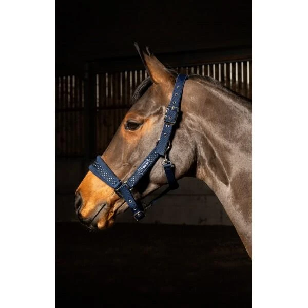 SAN FRANCISCO HEADCOLLAR 3 SAN FRANCISCO HEADCOLLAR