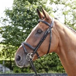 Barton Raised Flash Bridle Includes Rubber Reins 8 Barton Raised Flash Bridle Includes Rubber Reins -Outdoor Sporting Goods k3d36d1279d2dd4c4d457a46ad2d4e6a0