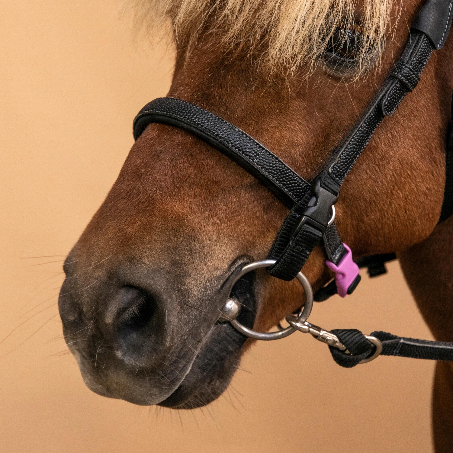 Horse Riding Synthetic Beginner Pony Bridle And Reins 100 15 Horse Riding Synthetic Beginner Pony Bridle And Reins 100 - Image 13