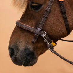 Horse Riding Synthetic Beginner Pony Bridle And Reins 100 21 Horse Riding Synthetic Beginner Pony Bridle And Reins 100 -Outdoor Sporting Goods k44bef3e52879e6252d6687247db03f32