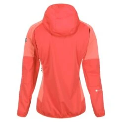 Regatta Womens/Ladies Tarvos IV Softshell Jacket (Neon Peach/Fusion Coral) 16 Regatta Womens/Ladies Tarvos IV Softshell Jacket (Neon Peach/Fusion Coral) -Outdoor Sporting Goods k4654b6fc04162183b12998661e895c23