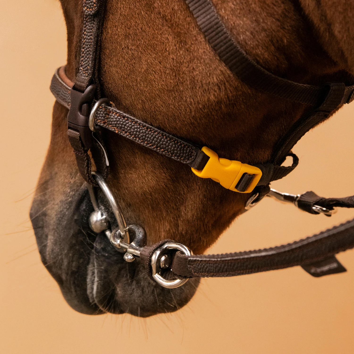 Horse Riding Synthetic Beginner Pony Bridle And Reins 100 9 Horse Riding Synthetic Beginner Pony Bridle And Reins 100 - Image 7