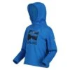 Regatta Kids' Highton Extol Printed Hoodie -Outdoor Sporting Goods k4cd8e683c4d1fd044b5f4d4a3a7d7e49