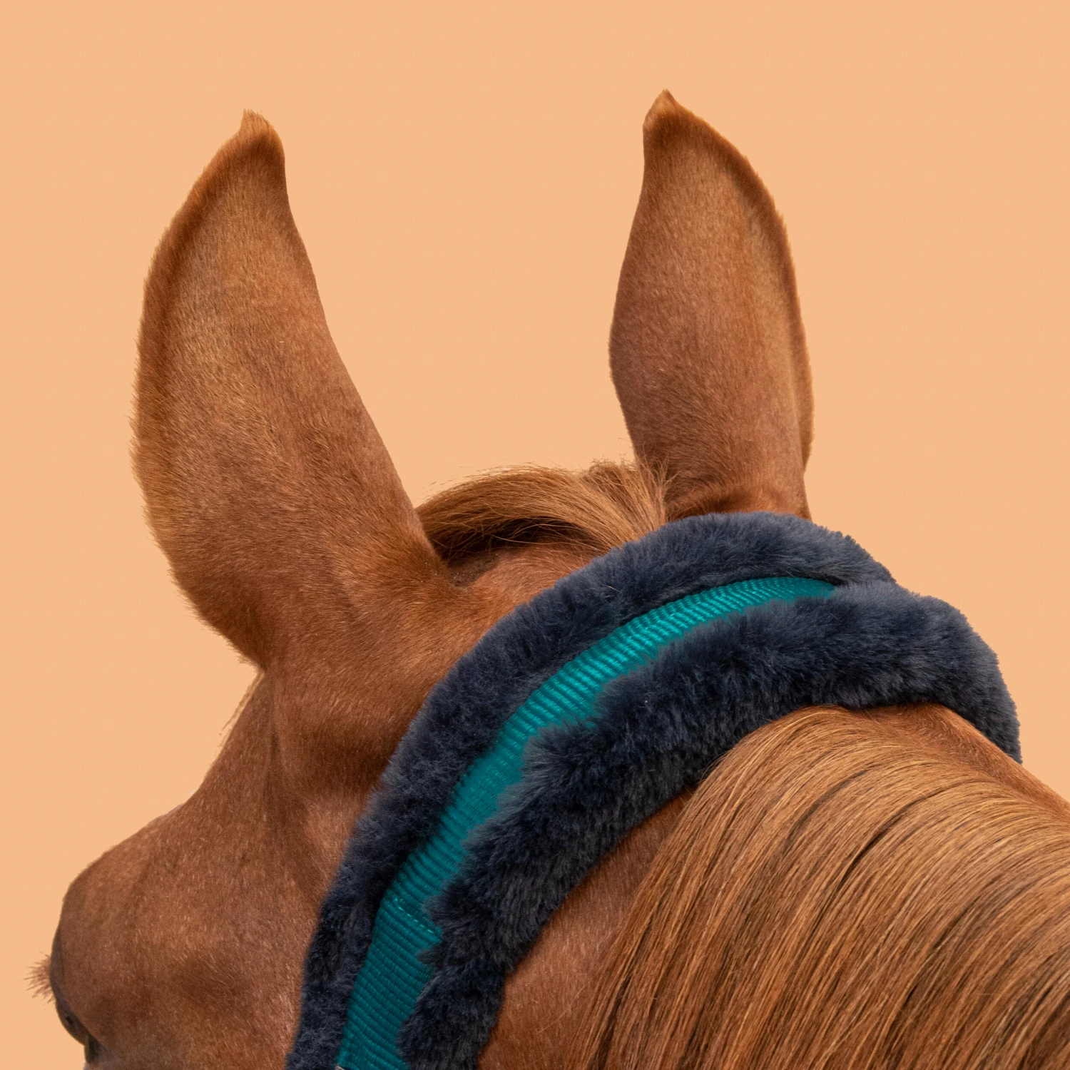 Horse Halter Comfort 9 Horse Halter Comfort - Image 7