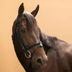 Horse & Pony Leather Bridle With French Noseband 580 -Outdoor Sporting Goods k52da00871423217b6ceb82f18d3948fd