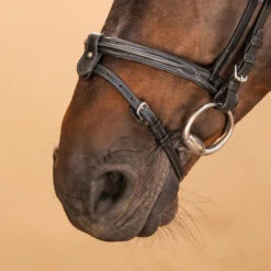 Horse & Pony Leather Bridle With French Noseband 580 -Outdoor Sporting Goods k5ab11b53fd964453c48172b6390d78cd