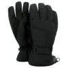 Regatta Unisex Adult Hand In Waterproof Ski Gloves (Black) -Outdoor Sporting Goods k5e6aed527d325e65e86f8d095605fec1