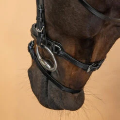 Horse Riding Glossy Leather Bridle With French Noseband For Horse & Pony 580 -Outdoor Sporting Goods k5e8128219971bc630bbd670d41a0c118