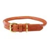 Weatherbeeta Rolled Leather Dog Collar (Tan) -Outdoor Sporting Goods k64e6e286de11be6dd111a85553b71e57