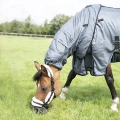 Horse Riding Fly Sheet For Horse & Pony Comfort 9 Horse Riding Fly Sheet For Horse & Pony Comfort -Outdoor Sporting Goods k657db9d4165a0235219b81e03d6a4377