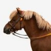 Horse Riding Synthetic Beginner Pony Bridle And Reins 100 -Outdoor Sporting Goods k68b000fac394c828b443a32510127430