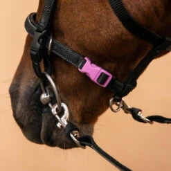 Horse Riding Synthetic Beginner Pony Bridle And Reins 100 29 Horse Riding Synthetic Beginner Pony Bridle And Reins 100 -Outdoor Sporting Goods k6e2e7709eee6b445462869461b8d96b9