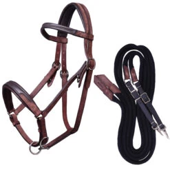 Trail Horse Riding Bridle / Halter And Reins Escape - Brown 24 Trail Horse Riding Bridle / Halter And Reins Escape - Brown -Outdoor Sporting Goods k7261f8a33955a44f0a3eca63f91364ef