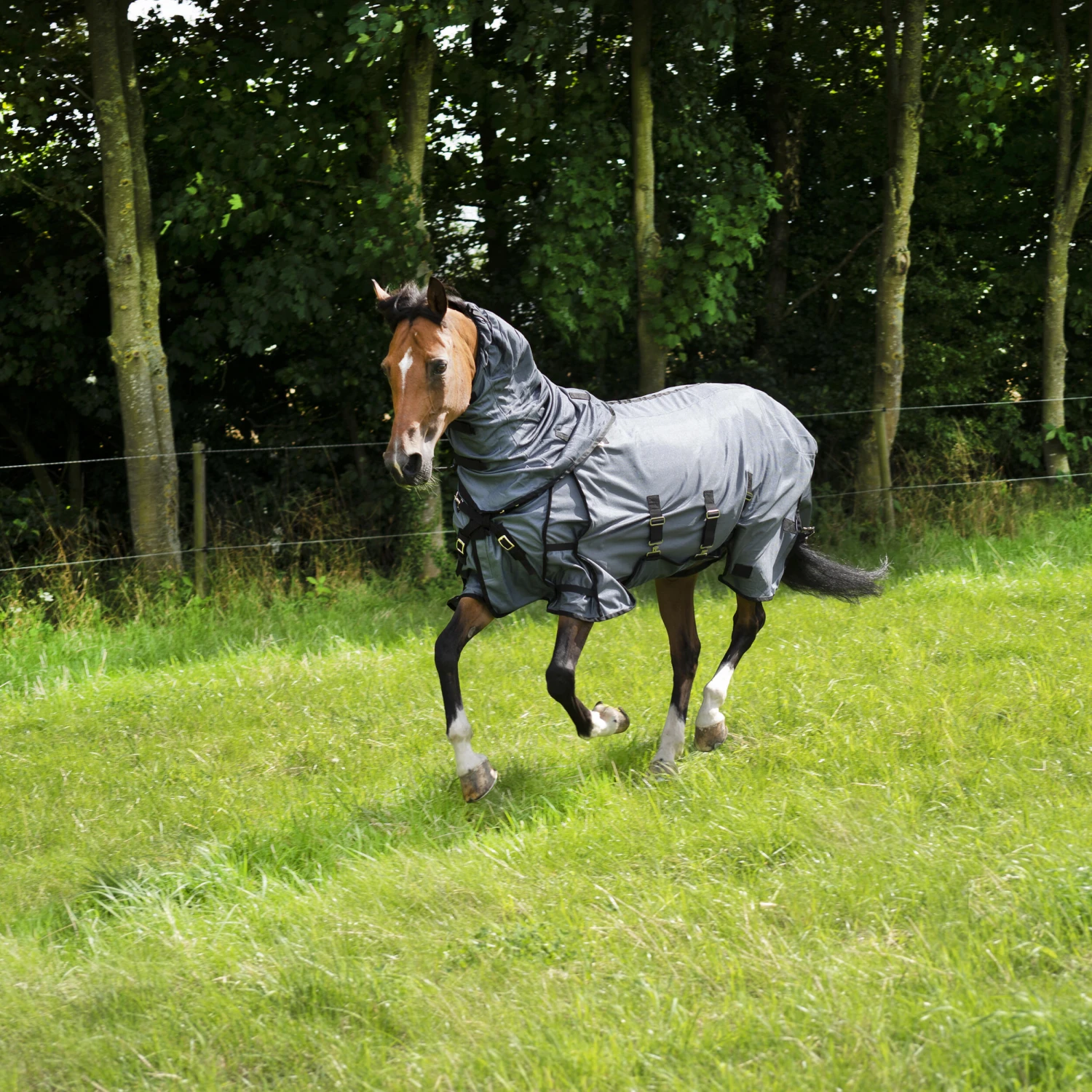Horse Riding Fly Sheet For Horse & Pony Comfort 3 Horse Riding Fly Sheet For Horse & Pony Comfort