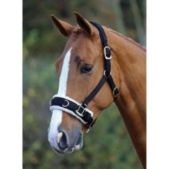 Fleece Lined Horse Lunge Cavesson (Black) -Outdoor Sporting Goods k74fd8c0219ae0d5a7c6069a4c4fd0b73