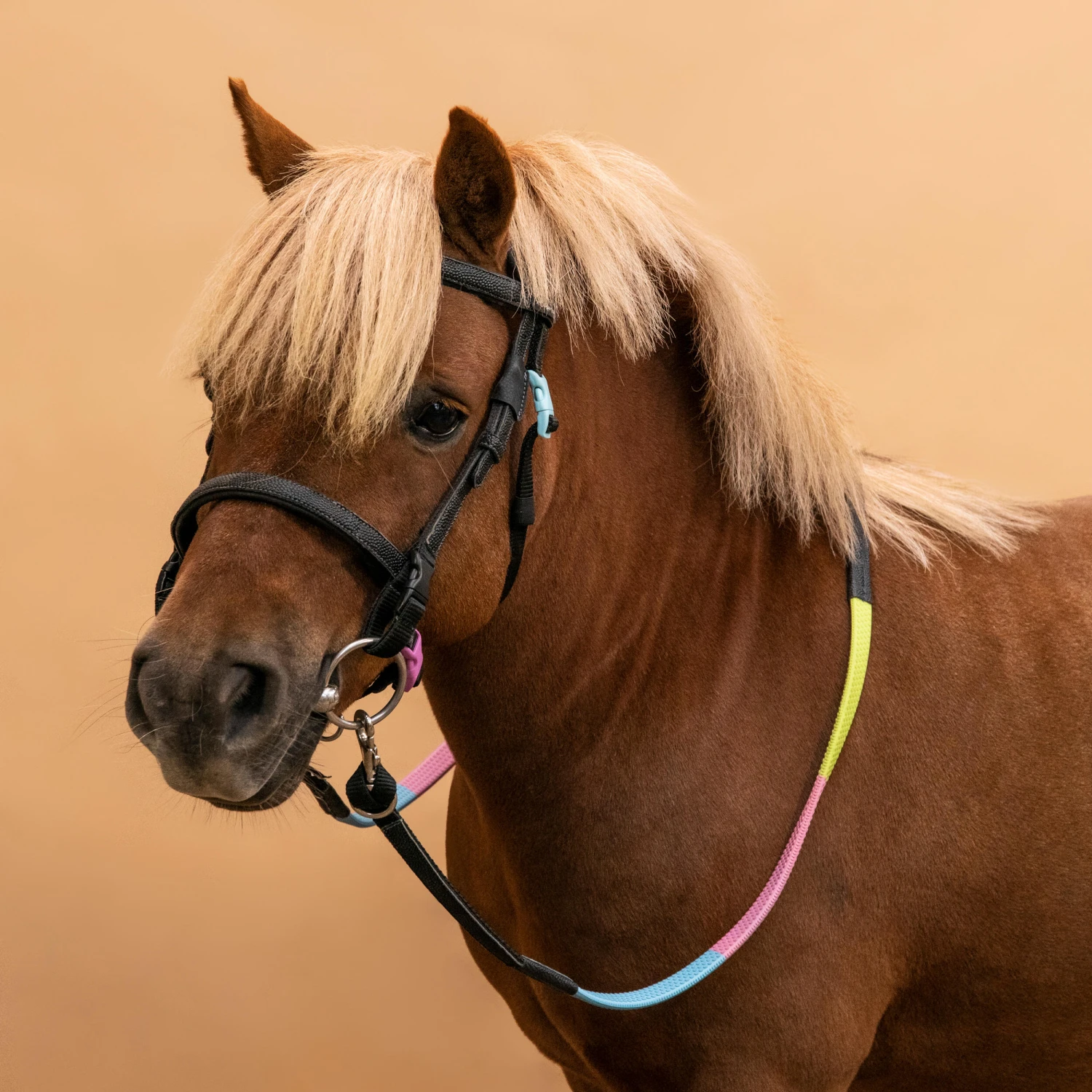 Horse Riding Synthetic Beginner Pony Bridle And Reins 100 11 Horse Riding Synthetic Beginner Pony Bridle And Reins 100 - Image 9