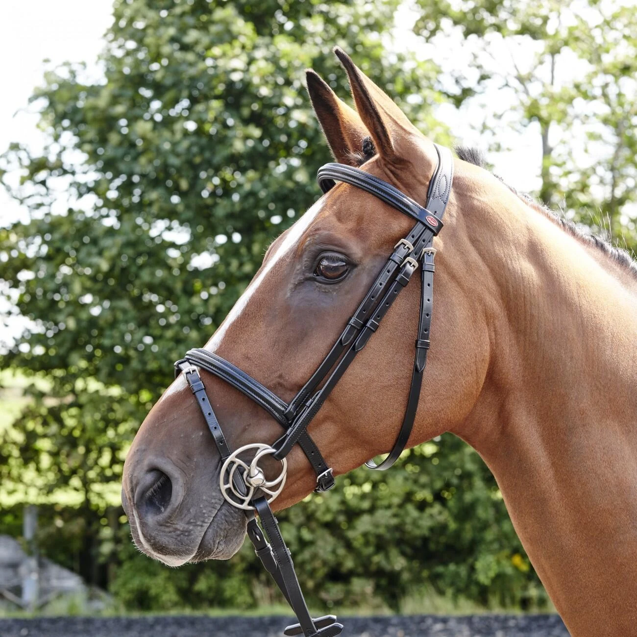 Barton Raised Flash Bridle Includes Rubber Reins 3 Barton Raised Flash Bridle Includes Rubber Reins