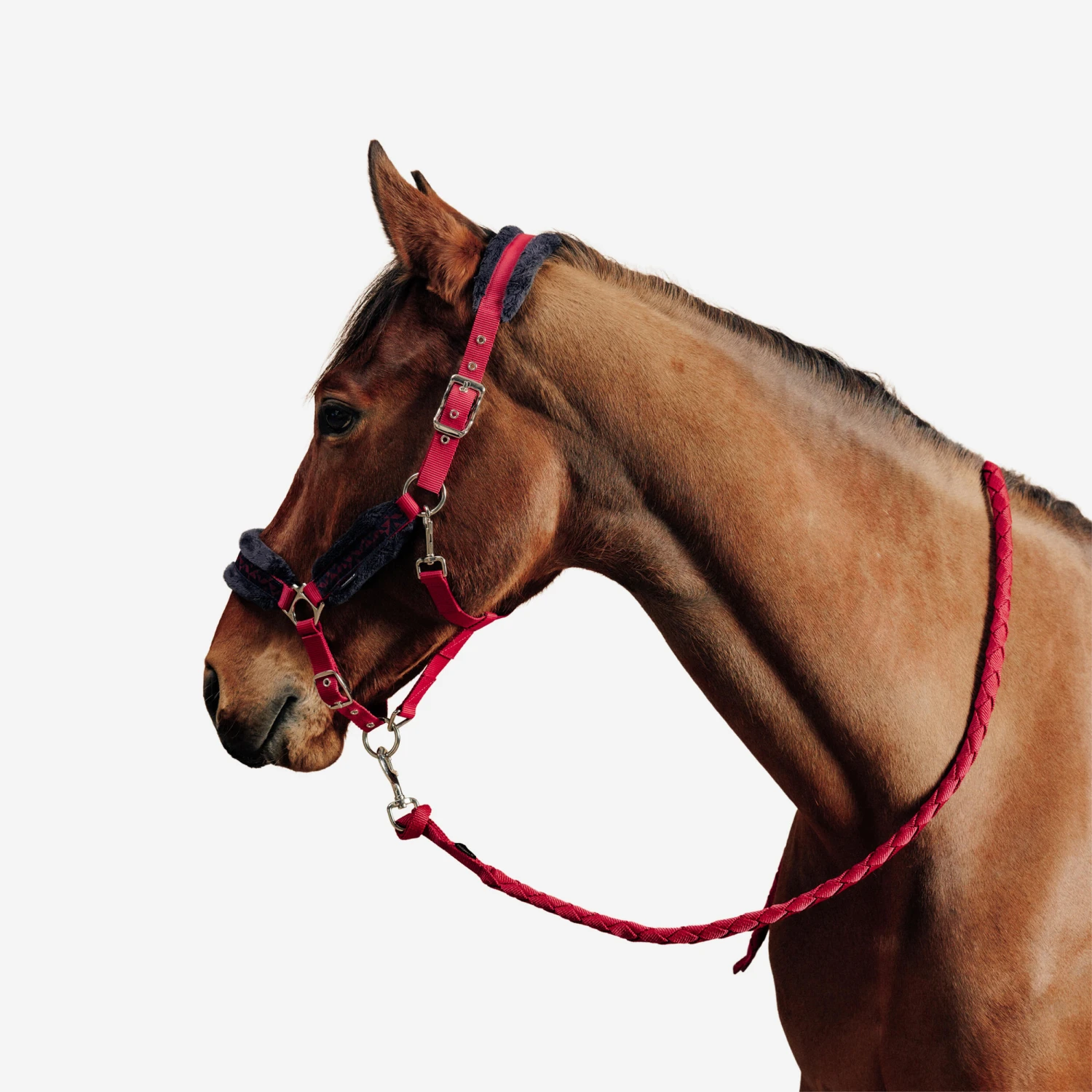 Horse Riding Halter + Leadrope Kit For Horse & Pony Comfort 3 Horse Riding Halter + Leadrope Kit For Horse & Pony Comfort