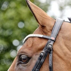 Lynton Snaffle Bridle With X2 Browbands -Outdoor Sporting Goods k7a70aa478c428b393d6d6b742d2b08f1