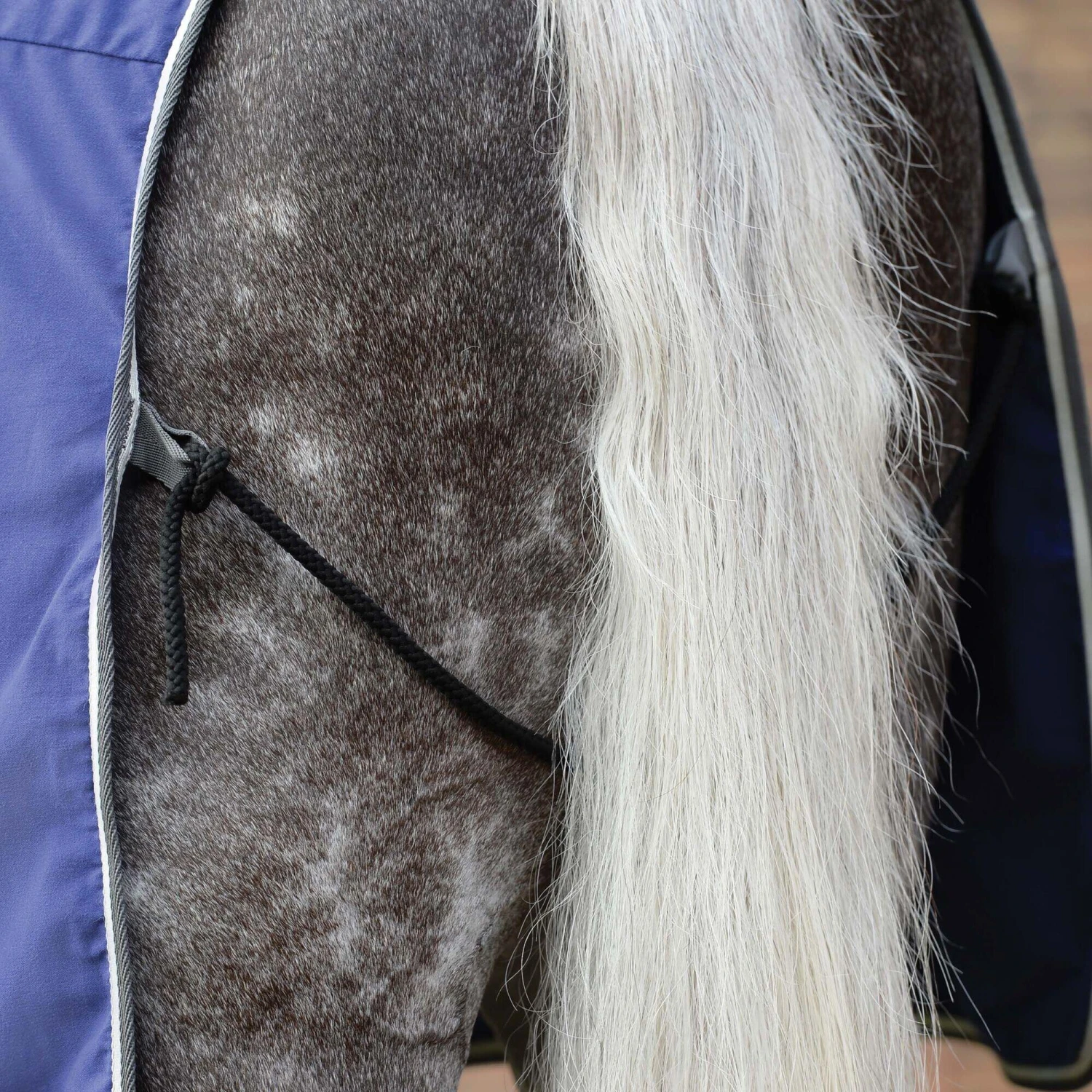 Weatherbeeta StandardNeck Cotton Horse Exercise Sheet (Dark Blue/Grey/White) 6 Weatherbeeta StandardNeck Cotton Horse Exercise Sheet (Dark Blue/Grey/White) - Image 4