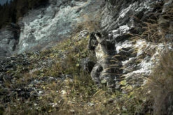 Long-Sleeve Breathable Silent Country Sport T -Outdoor Sporting Goods k7d8109a4b450911ab9c4bb32f2566f8c