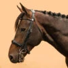 Horse & Pony Dressage Double Bridle 900 -Outdoor Sporting Goods k81faefb5f4c4190e0dcef5529eacdda3