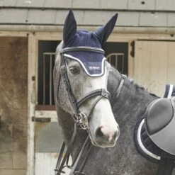 EASTWOOD CRANK BRIDLE INCLUDING REINS -Outdoor Sporting Goods k84eba477f536ba4221a08fe0df49ed3c