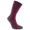 Craghoppers Unisex Adult Trek Merino Wool Socks (Wildberry Purple)