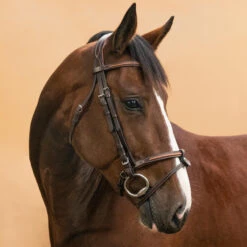 Horse & Pony Leather Bridle With French Noseband 580 -Outdoor Sporting Goods k8827583d92cfdd6077d07832410d5e57