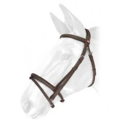 Ready To Ride Flash Bridle -Outdoor Sporting Goods k89f5ae7ff1be3151fb144d1740923e9c