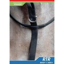 Ready To Ride Martingale 9 Ready To Ride Martingale -Outdoor Sporting Goods k8a086ad4dd7e7b8a81efa1173cce8696